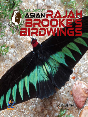 cover image of All About Asian Rajah Brooke's Birdwings